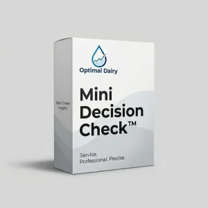 Mini_Decision_Check