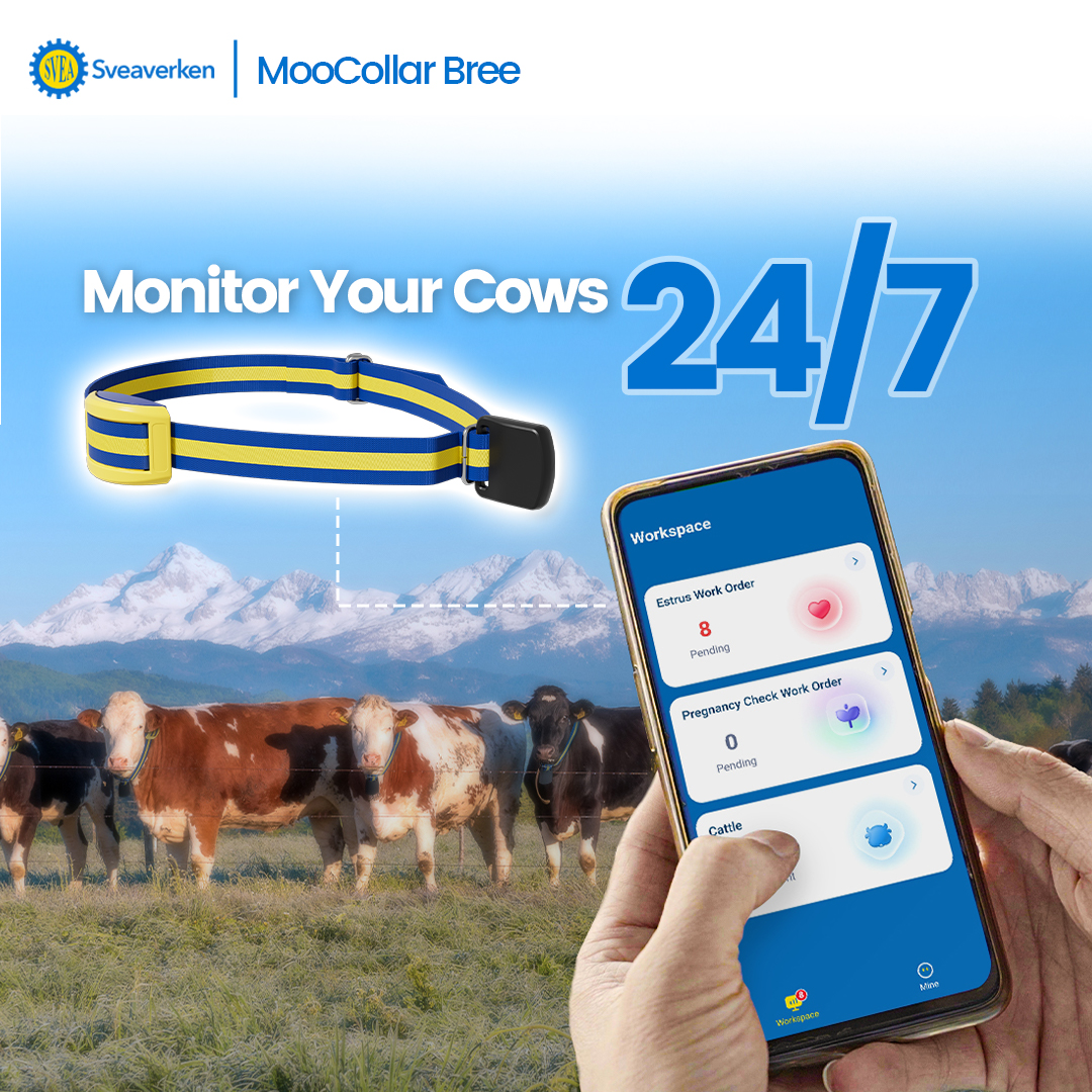 MooCollar Connection Box. Product developed by Sveaverken Global - Image 3