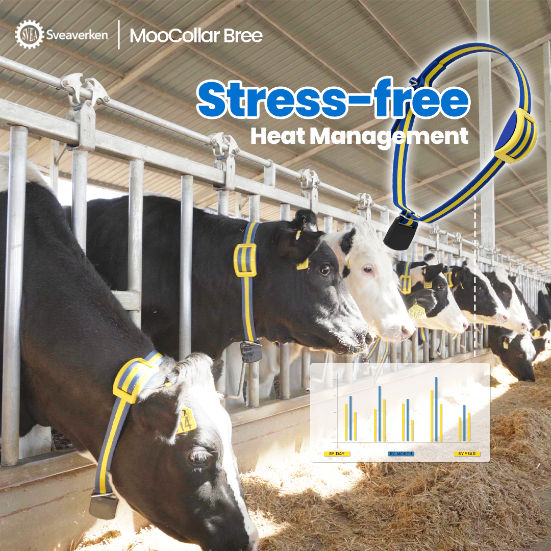 MooCollar Connection Box. Product developed by Sveaverken Global - Image 4