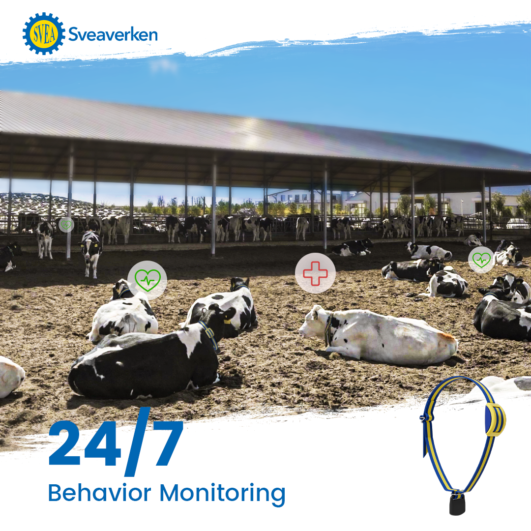 MooCollar Connection Box. Product developed by Sveaverken Global - Image 6