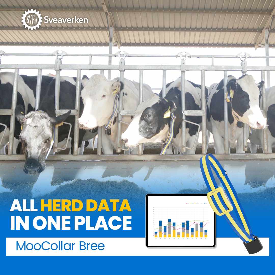 MooCollar Connection Box. Product developed by Sveaverken Global - Image 8
